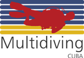 Multidiving
